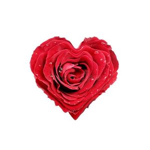 Image chosen by user