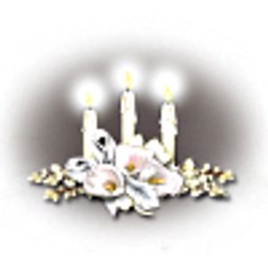 Image chosen by user
