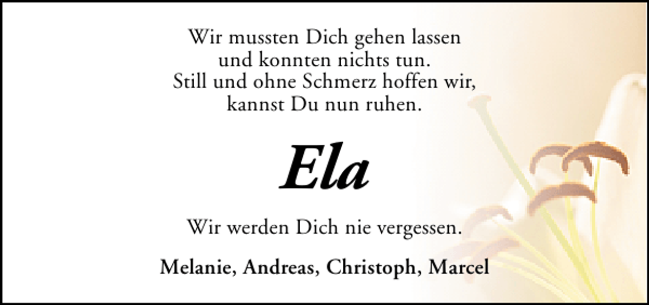 <p>Wir mussten Dich gehen lassen<br />und konnten nichts tun.<br />Still und ohne Schmerz hoffen wir,<br />kannst Du nun ruhen.</p><p>Ela<br />Wir werden Dich nie vergessen.<br />Melanie, Andreas, Christoph, Marcel</p>
