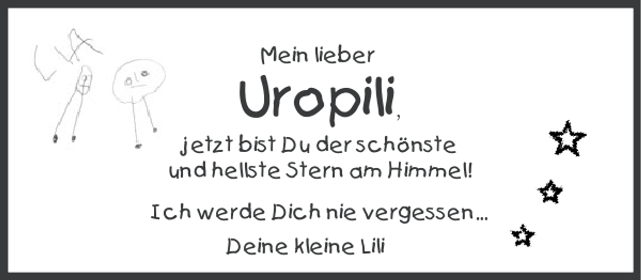 <p>Mein lieber</p><p>Uropili</p><p>,</p><p>jetzt bist Du der schönste<br />und hellste Stern am Himmel!<br />Ich werde Dich nie vergessen...<br />Deine kleine Lili</p>