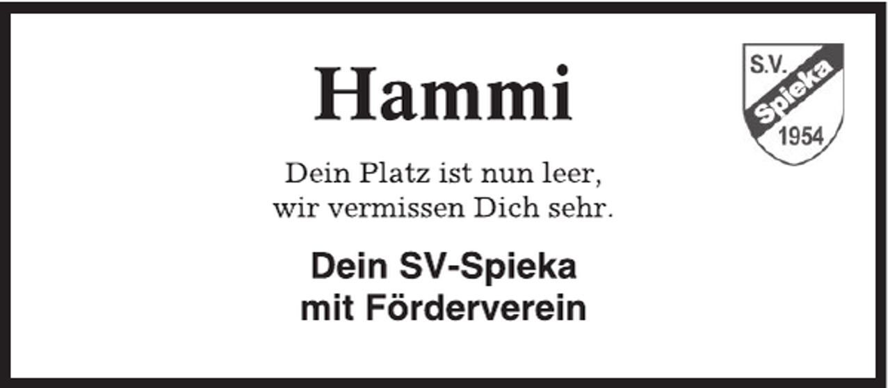 <p>---</p>