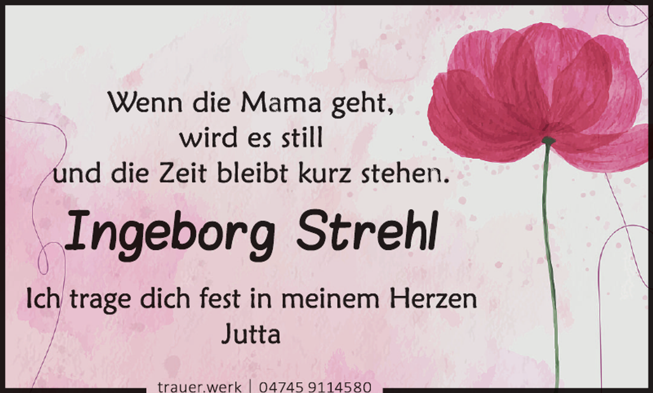<p>---</p>