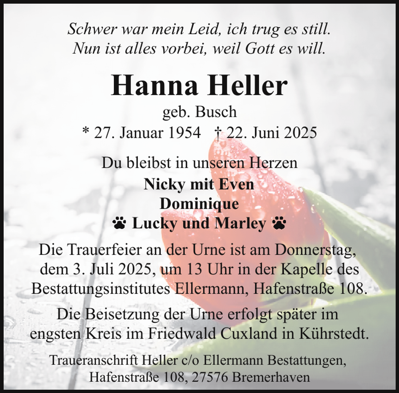 <p>Schwer war mein Leid, ich trug es still.<br />Nun ist alles vorbei, weil Gott es will.</p><p>Hanna Heller</p><p>geb. Busch<br />* 27. Januar 1954 † 22. Juni 2025<br />Du bleibst in unseren Herzen<br />Nicky mit Even<br />Dominique<br />Lucky und Marley<br />Die Trauerfeier an der Urne ist am Donnerstag,<br />dem 3. Juli 2025, um 13 Uhr in der Kapelle des<br />Bestattungsinstitutes Ellermann, Hafenstraße 108.<br />Die Beisetzung der Urne erfolgt später im<br />engsten Kreis im Friedwald Cuxland in Kührstedt.<br />Traueranschrift Heller c/o Ellermann Bestattungen,<br />Hafenstraße 108, 27576 Bremerhaven</p>