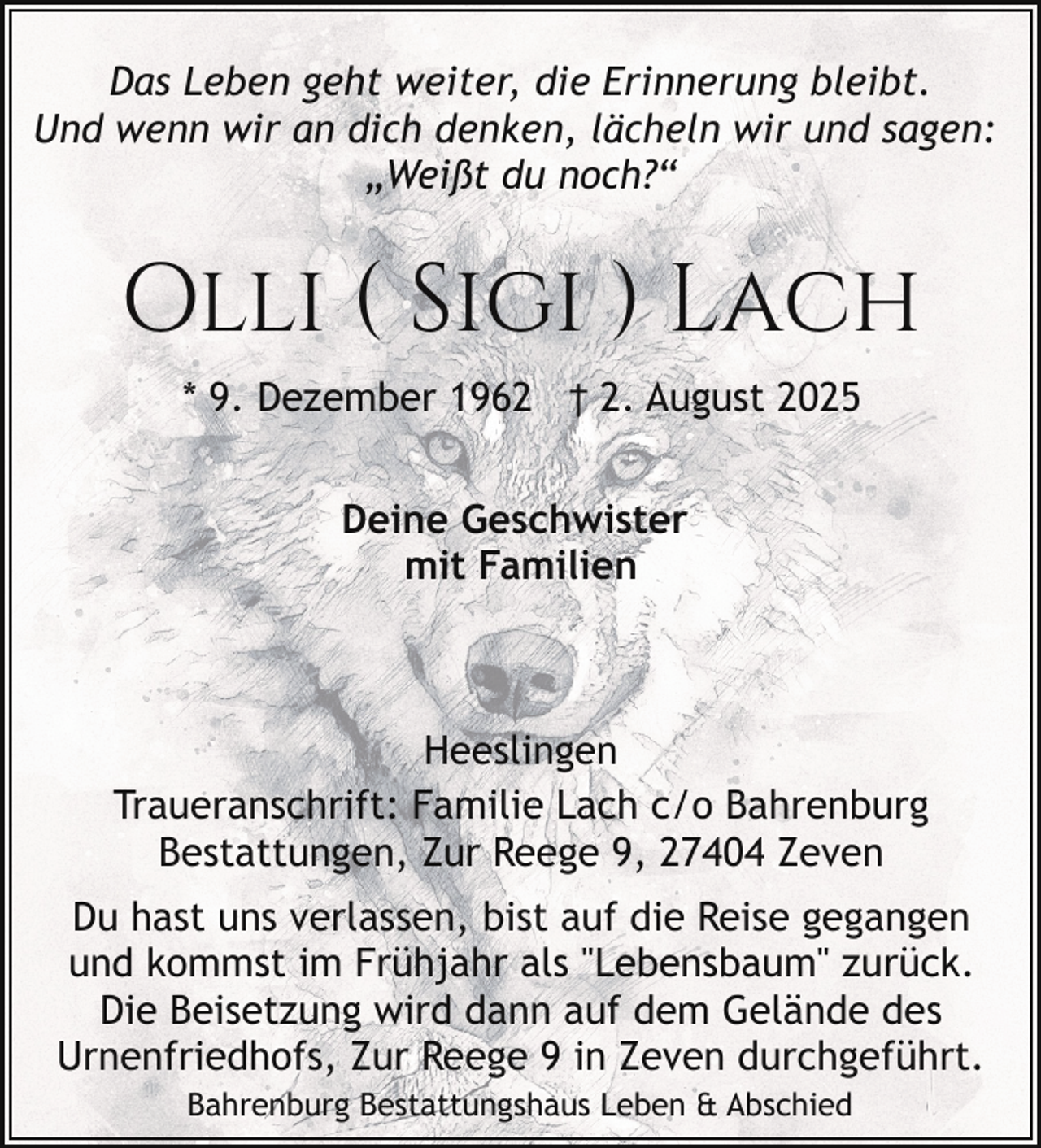 <p>Das Leben geht weiter, die Erinnerung bleibt.<br />Und wenn wir an dich denken, lächeln wir und sagen:<br />„Weißt du noch?“</p><p>Olli ( Sigi ) Lach<br />* 9. Dezember 1962 † 2. August 2025<br />Deine Geschwister<br />mit Familien</p><p>Heeslingen<br />Traueranschrift: Familie Lach c/o Bahrenburg<br />Bestattungen, Zur Reege 9, 27404 Zeven<br />Du hast uns verlassen, bist auf die Reise gegangen<br />und kommst im Frühjahr als "Lebensbaum" zurück.<br />Die Beisetzung wird dann auf dem Gelände des<br />Urnenfriedhofs, Zur Reege 9 in Zeven durchgeführt.<br />Bahrenburg Bestattungshaus Leben &amp; Abschied</p>