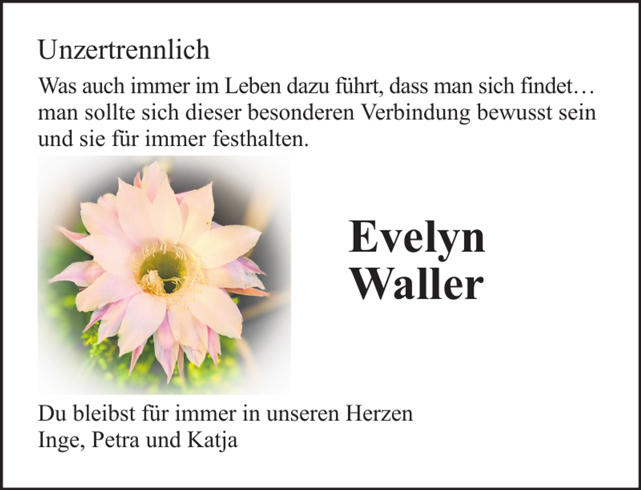 <p>Unzertrennlich<br />Was auch immer im Leben dazu führt, dass man sich findet…<br />man sollte sich dieser besonderen Verbindung bewusst sein<br />und sie für immer festhalten.</p><p>Evelyn<br />Waller<br />Du bleibst für immer in unseren Herzen<br />Inge, Petra und Katja</p>