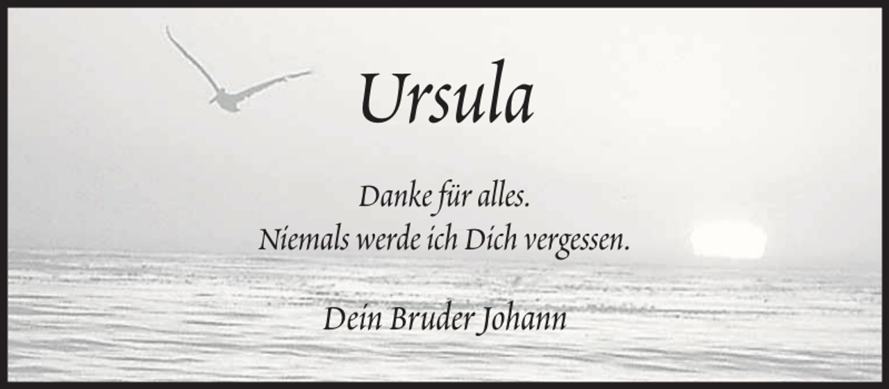 <p>Ursula<br />Danke für alles.<br />Niemals werde ich Dich vergessen.</p><p>Dein Bruder Johann</p>