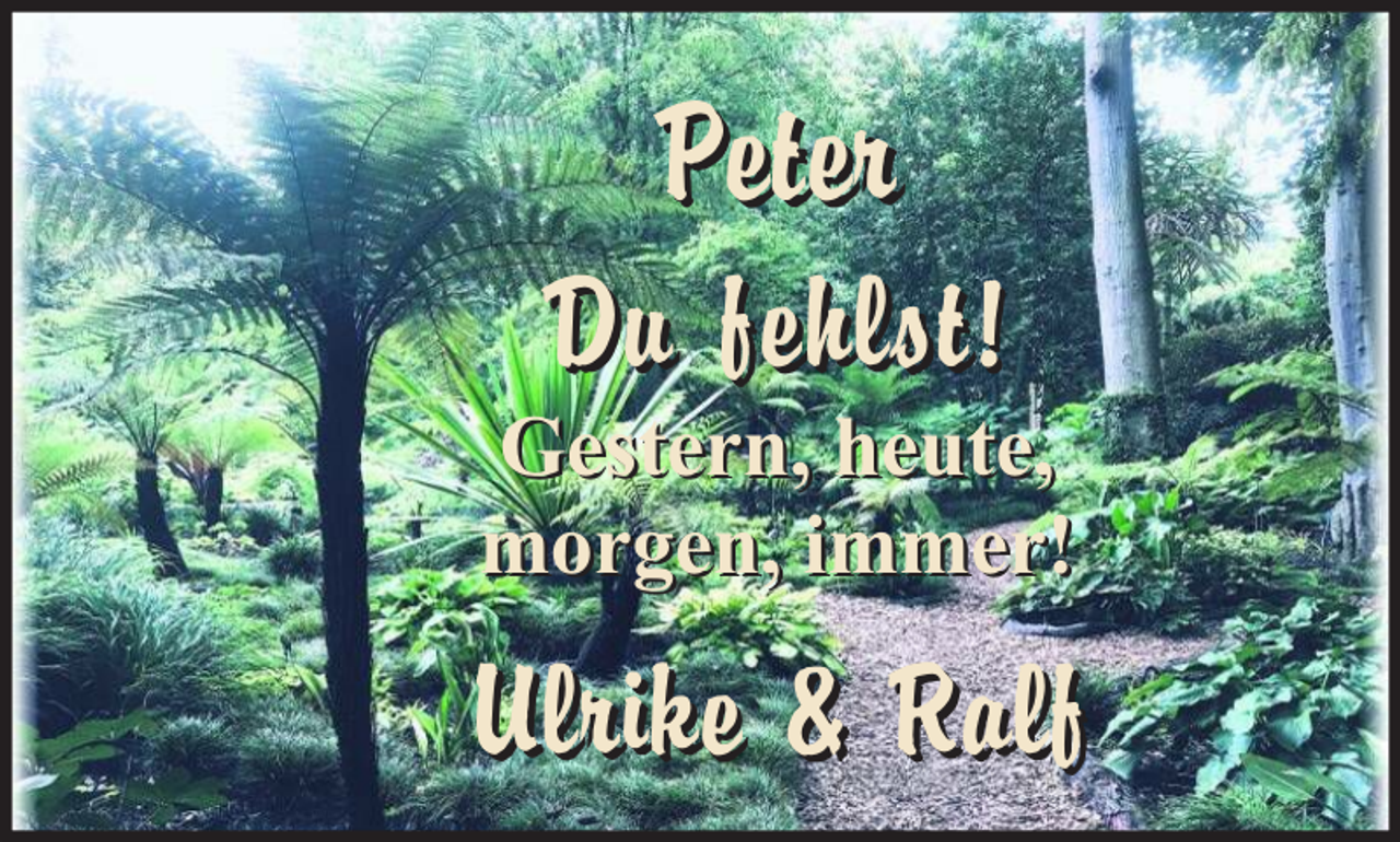 <p>Pe t e r<br />Du fehlst!</p><p>Gestern, heute,<br />morgen, immer!</p><p>Ulrike &amp; R alf</p>