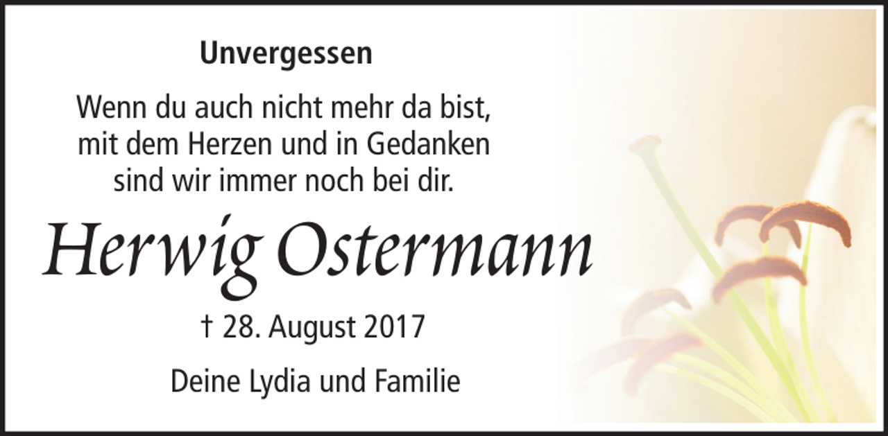 <p>Unvergessen<br />Wenn du auch nicht mehr da bist,<br />mit dem Herzen und in Gedanken<br />sind wir immer noch bei dir.</p><p>Herwig Ostermann<br />† 28. August 2017<br />Deine Lydia und Familie</p>