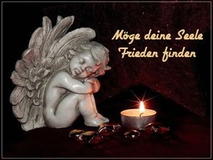 Vom User ausgewähltes Bild