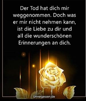 Vom User ausgewähltes Bild
