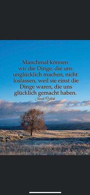 Vom User ausgewähltes Bild