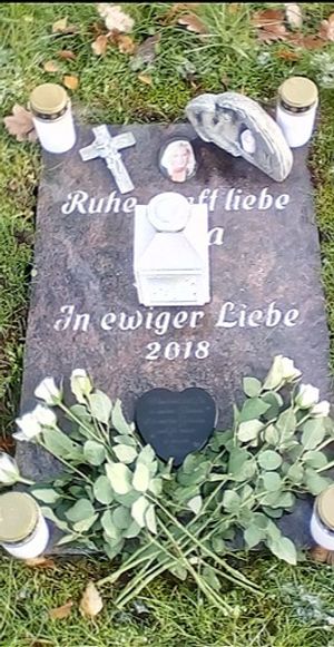 Vom User ausgewähltes Bild