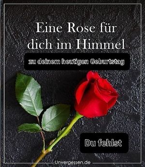 Vom User ausgewähltes Bild