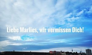 Vom User ausgewähltes Bild