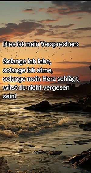 Vom User ausgewähltes Bild