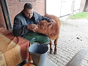Vom User ausgewähltes Bild