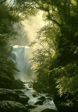 Image chosen by user