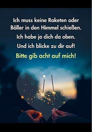 Vom User ausgewähltes Bild