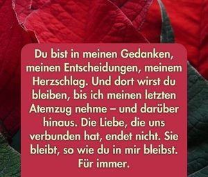 Vom User ausgewähltes Bild