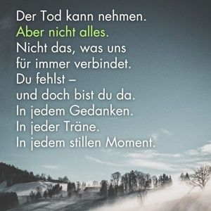 Vom User ausgewähltes Bild