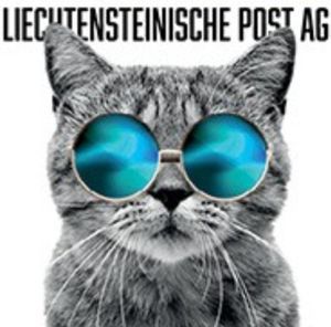 Vom User ausgewähltes Bild