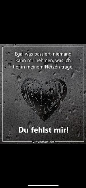 Vom User ausgewähltes Bild