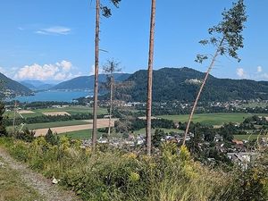 Vom User ausgewähltes Bild