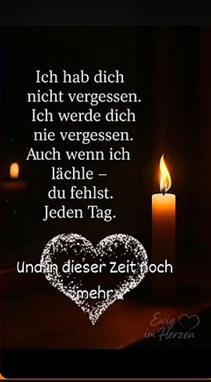 Vom User ausgewähltes Bild