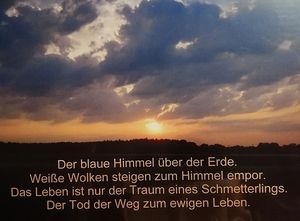Vom User ausgewähltes Bild