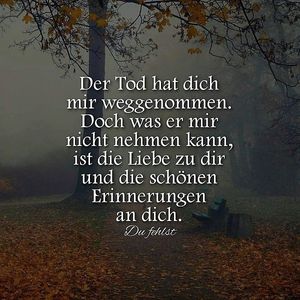 Vom User ausgewähltes Bild