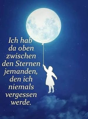 Vom User ausgewähltes Bild