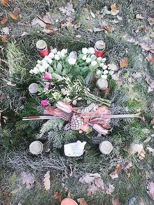 Vom User ausgewähltes Bild