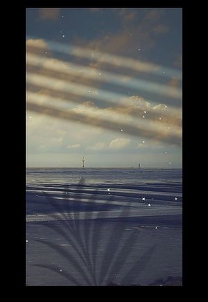 Image chosen by user
