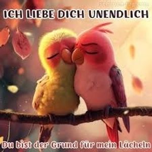 Vom User ausgewähltes Bild