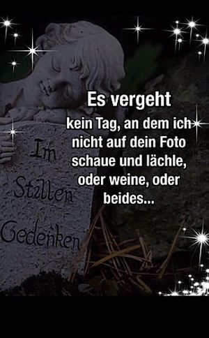 Vom User ausgewähltes Bild