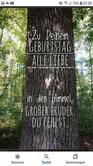 Vom User ausgewähltes Bild