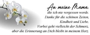 Vom User ausgewähltes Bild