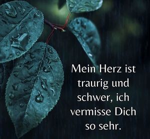 Vom User ausgewähltes Bild