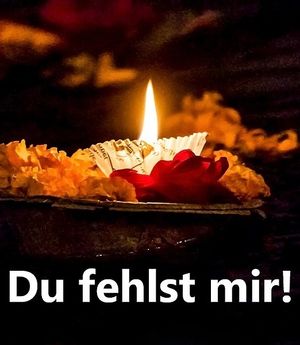 Vom User ausgewähltes Bild