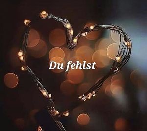 Vom User ausgewähltes Bild