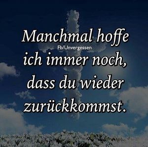 Vom User ausgewähltes Bild