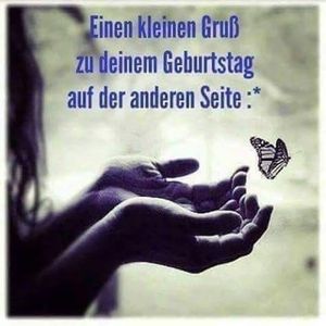 Vom User ausgewähltes Bild