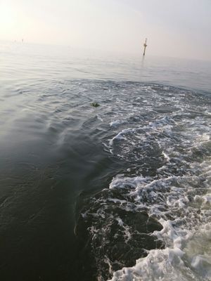 Image chosen by user