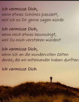 Vom User ausgewähltes Bild