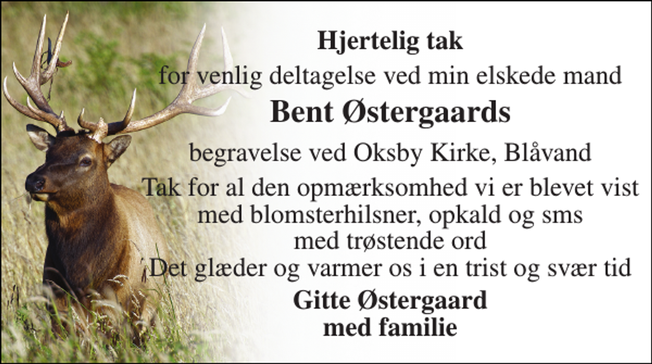 <p>Hjertelig tak<br />for venlig deltagelse ved min elskede mand<br />Bent Østergaards<br />begravelse ved Oksby Kirke, Blåvand<br />Tak for al den opmærksomhed vi er blevet vist med blomsterhilsner, opkald og sms med trøstende ord Det glæder og varmer os i en trist og svær tid<br />Gitte Østergaard med familie</p>