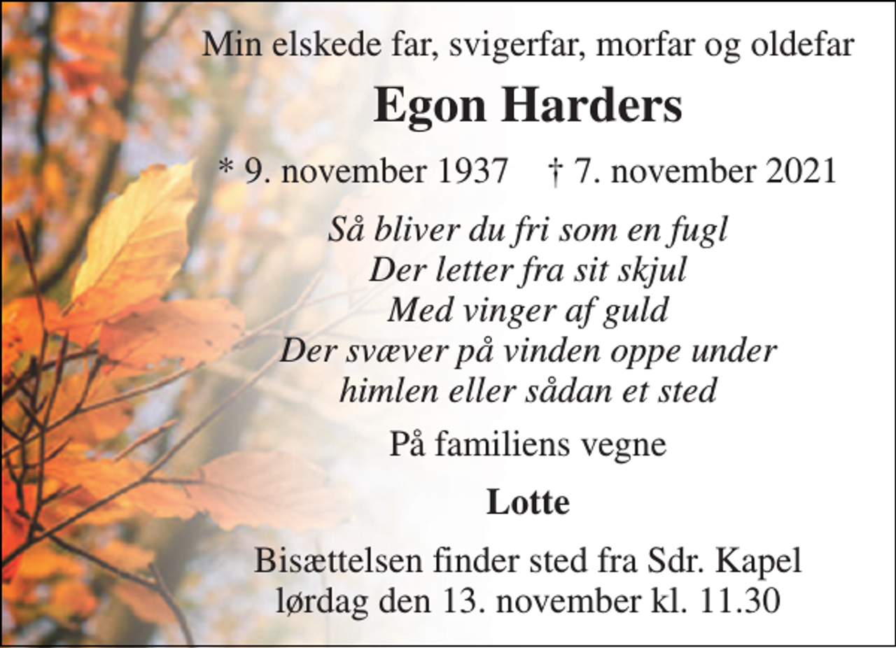 <p>Min elskede far, svigerfar, morfar og oldefar<br />Egon Harders<br />*​ 9. november 1937​ †​ 7. november 2021<br />Så bliver du fri som en fugl Der letter fra sit skjul Med vinger af guld Der svæver på vinden oppe under himlen eller sådan et sted<br />På familiens vegne<br />Lotte<br />Bisættelsen​ finder sted fra Sdr. Kapel​ lørdag den 13. november​ kl. 11.30</p>