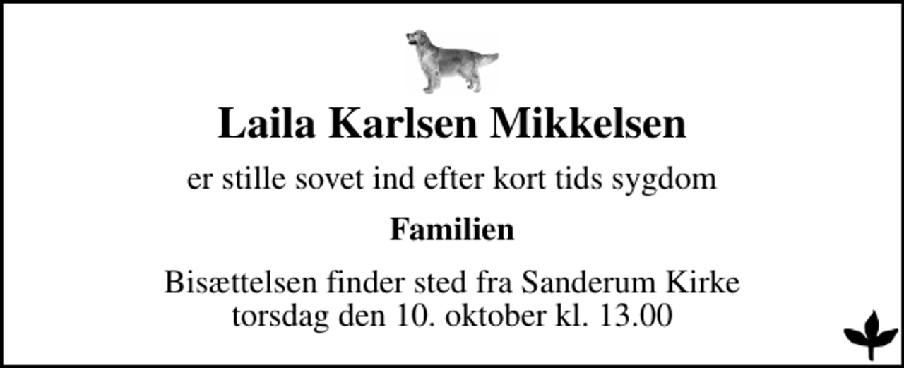 <p>Laila Karlsen Mikkelsen<br />er stille sovet ind efter kort tids sygdom<br />Familien<br />Bisættelsen finder sted fra Sanderum Kirke torsdag den 10. oktober kl. 13.00</p>