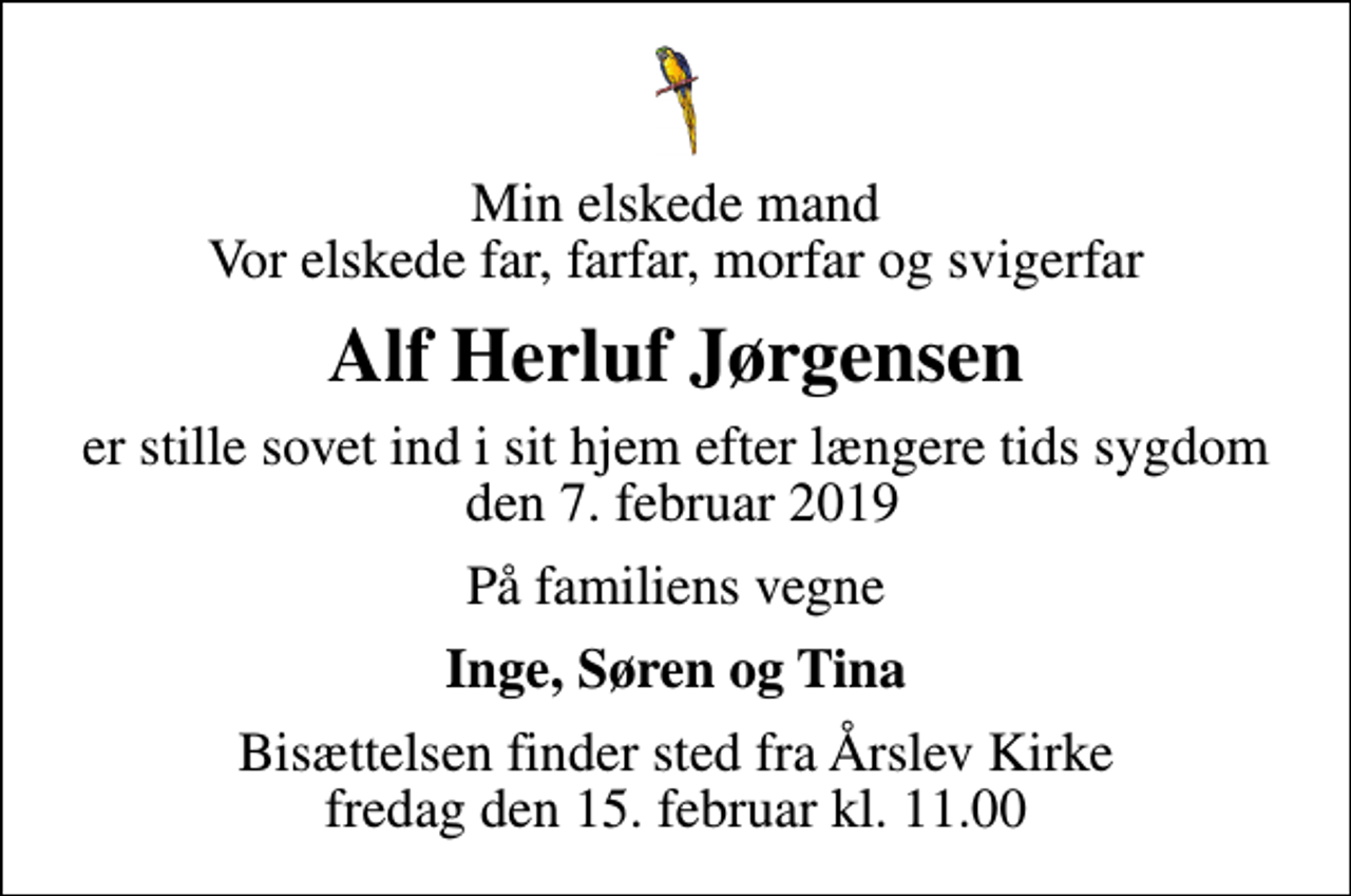 <p>Min elskede mand Vor elskede far, farfar, morfar og svigerfar<br />Alf Herluf Jørgensen<br />er stille sovet ind i sit hjem efter længere tids sygdom den 7. februar 2019<br />På familiens vegne<br />Inge, Søren og Tina<br />Bisættelsen finder sted fra Årslev Kirke fredag den 15. februar kl. 11.00</p>