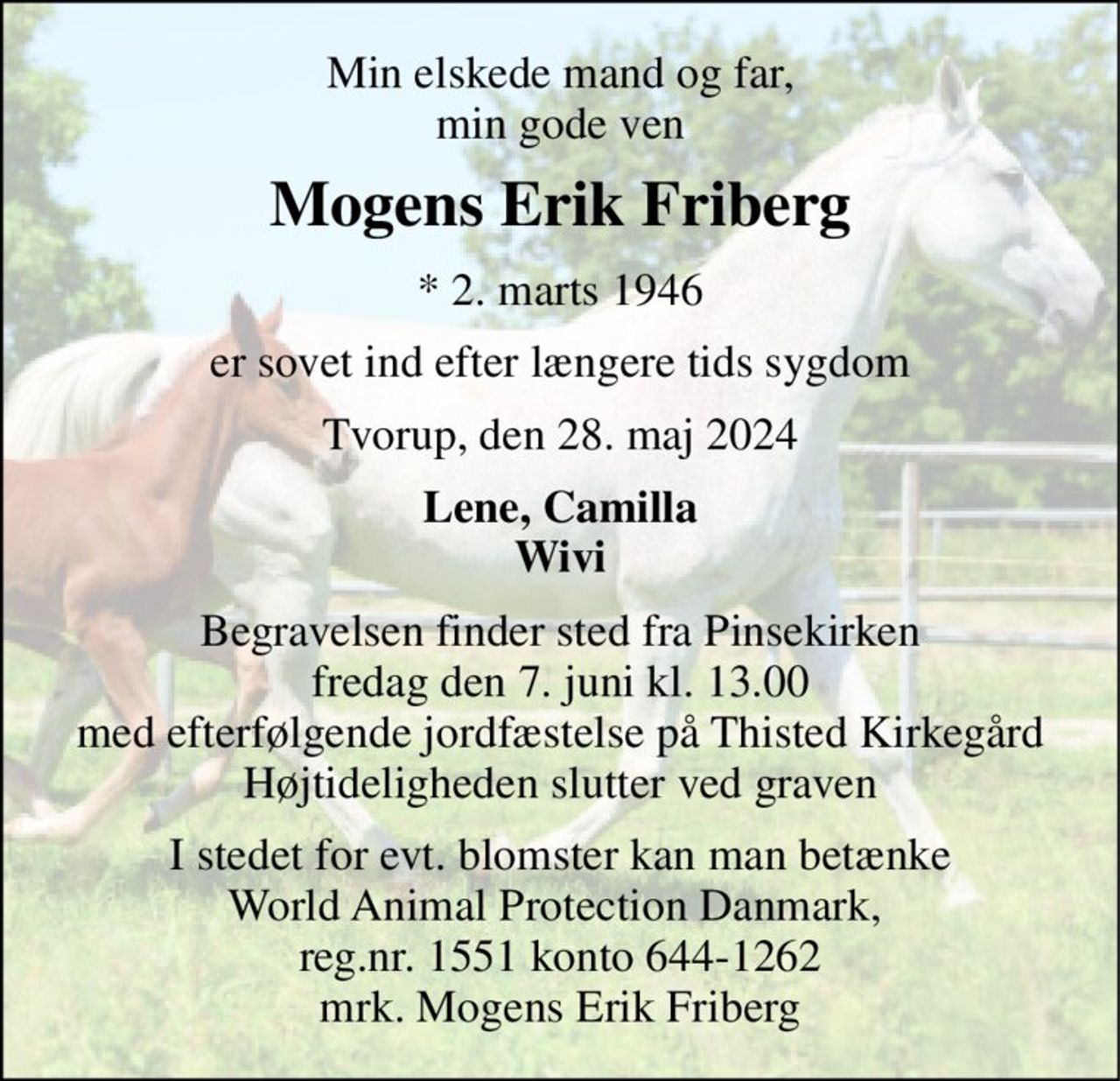 Min elskede mand og far, min gode ven 
Mogens Erik Friberg 
*​ 2. marts 1946 
er sovet ind efter længere tids sygdom 
Tvorup, den 28. maj 2024 
Lene, Camilla Wivi 
Begravelsen finder sted fra Pinsekirken fredag den 7. juni kl. 13.00 med efterfølgende jordfæstelse på Thisted Kirkegård Højtideligheden slutter ved graven 
I stedet for evt. blomster kan man betænke World Animal Protection Danmark,  reg.nr. 1551 konto 644-1262 mrk. Mogens Erik Friberg