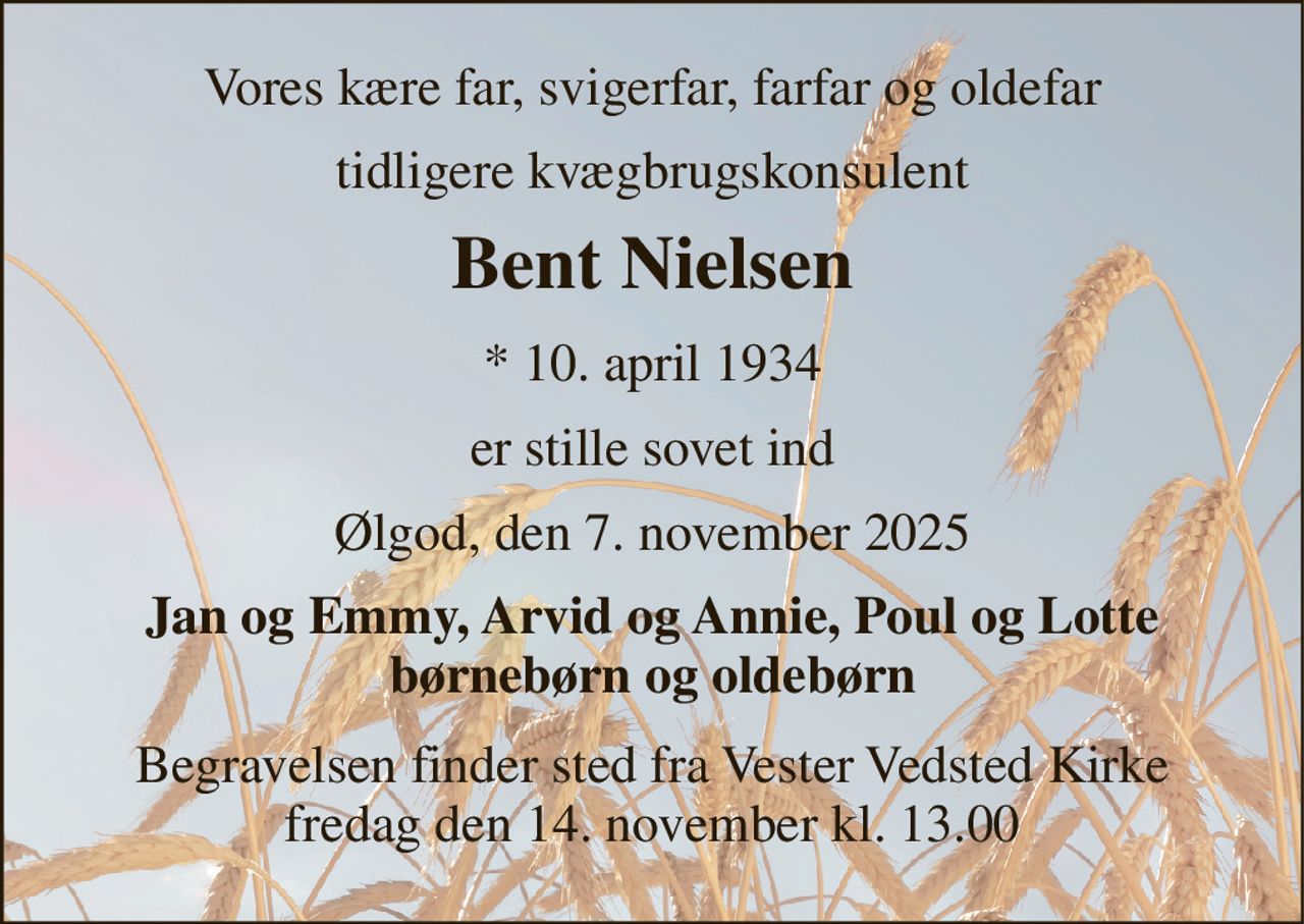 Vores kære far, svigerfar, farfar og oldefar 
tidligere kvægbrugskonsulent 
Bent Nielsen 
*​ 10. april 1934 
er stille sovet ind 
Ølgod, den 7. november 2025 
Jan og Emmy, Arvid og Annie, Poul og Lotte børnebørn og oldebørn 
Begravelsen​ finder sted fra Vester Vedsted Kirke​ fredag den 14. november​ kl. 13.00